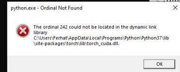 torch cuda error.JPG